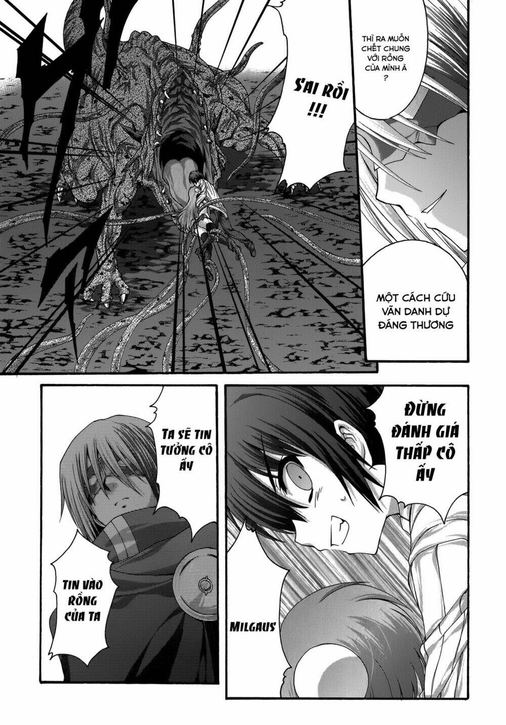 seikoku no dragonar chapter 22 13