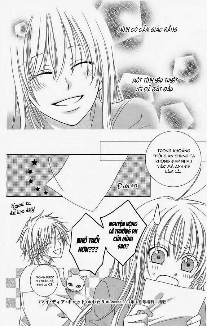 my dear cat chapter 1 44