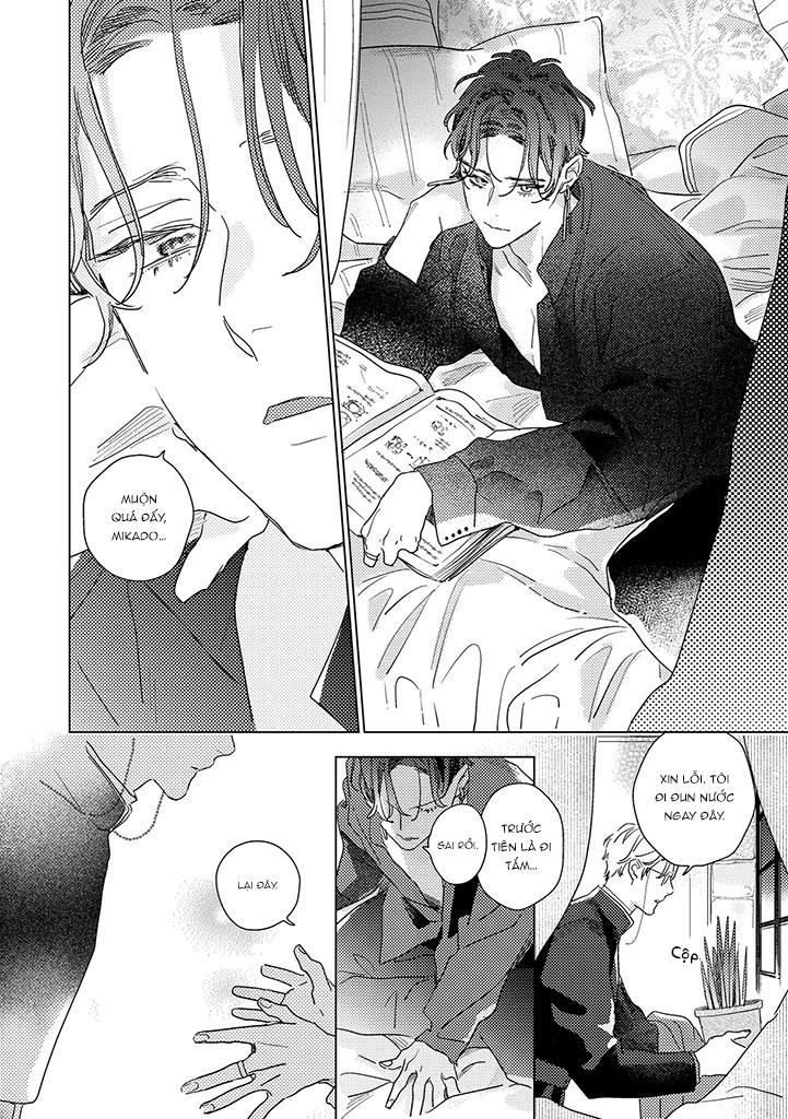 bí mật thầm lặng giữa vàng và bạc là màn đêm chapter 1 14