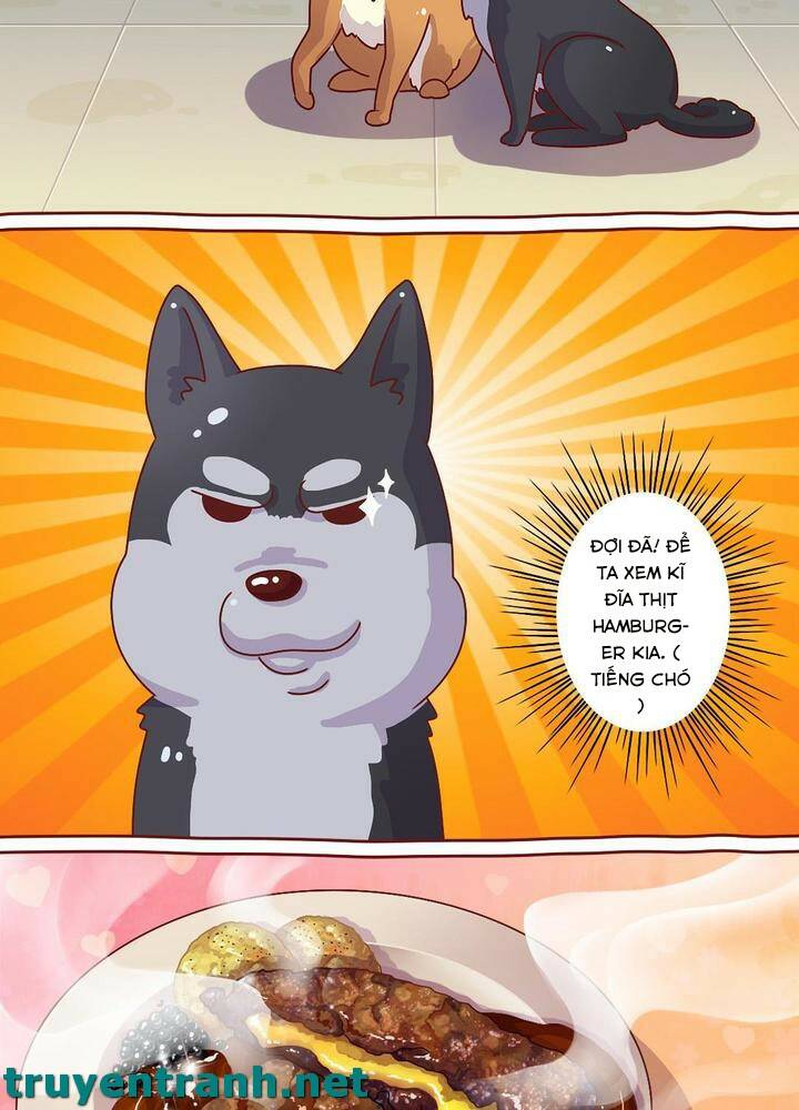 cây nấm kì khả chapter 6 9