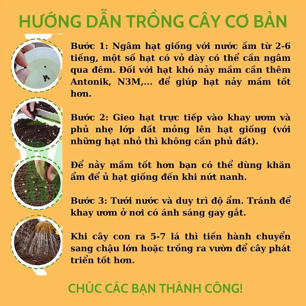 Hạt Giống Rau Dền Xanh Lá Tròn Cao Sản Dễ Trồng Năng Xuất Cao Gói 20G 5000 Hạt - Khu Vườn Ban Công