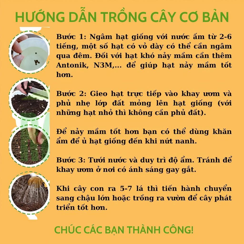 Hạt Giống Bí Đỏ Trái Tròn F1 Năng Xuất Cao, Rau Củ Qủa Trồng Ban Công Gói 2G 10 Hạt - Khu Vườn Ban Công