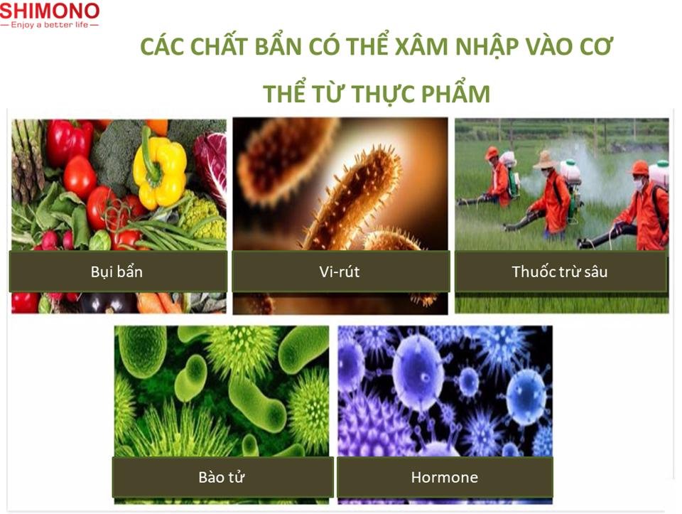 Máy Khử Trùng Thực Phẩm SHIMONO SM-FSCOH15-C1 Loại Bỏ Độc Tố Vi Khuẩn Trong Hoa Quả, Thịt Cá Mà Giữ Được Độ Tươi Ngon Hàng Chính Hãng