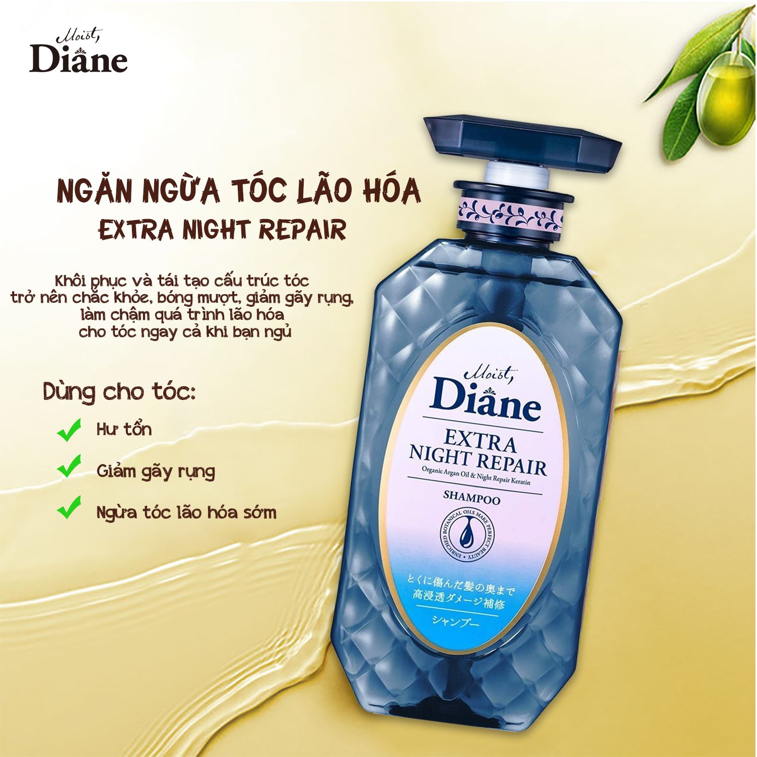 Bộ Đôi Gội Xả Cho Tóc Xơ Gẫy Rụng Moist Diane Extra Night Repair 450mlx2