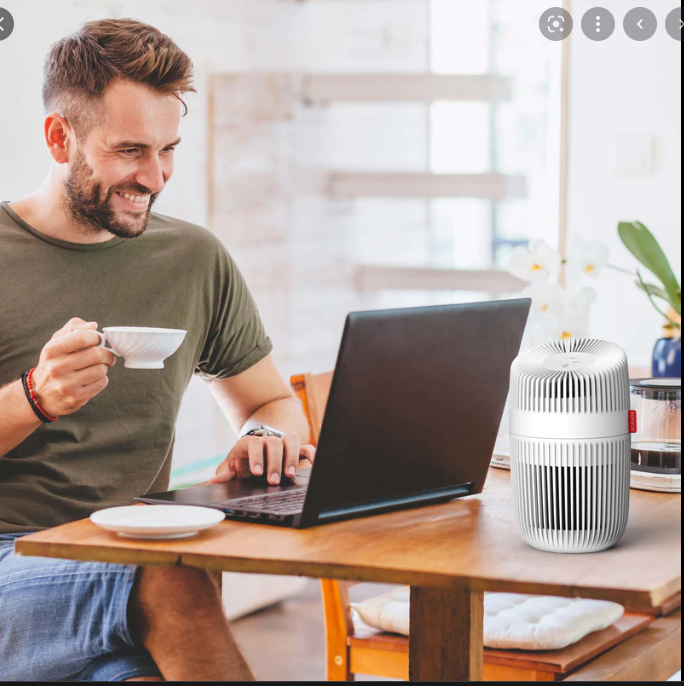 Máy lọc không khí Boneco P130