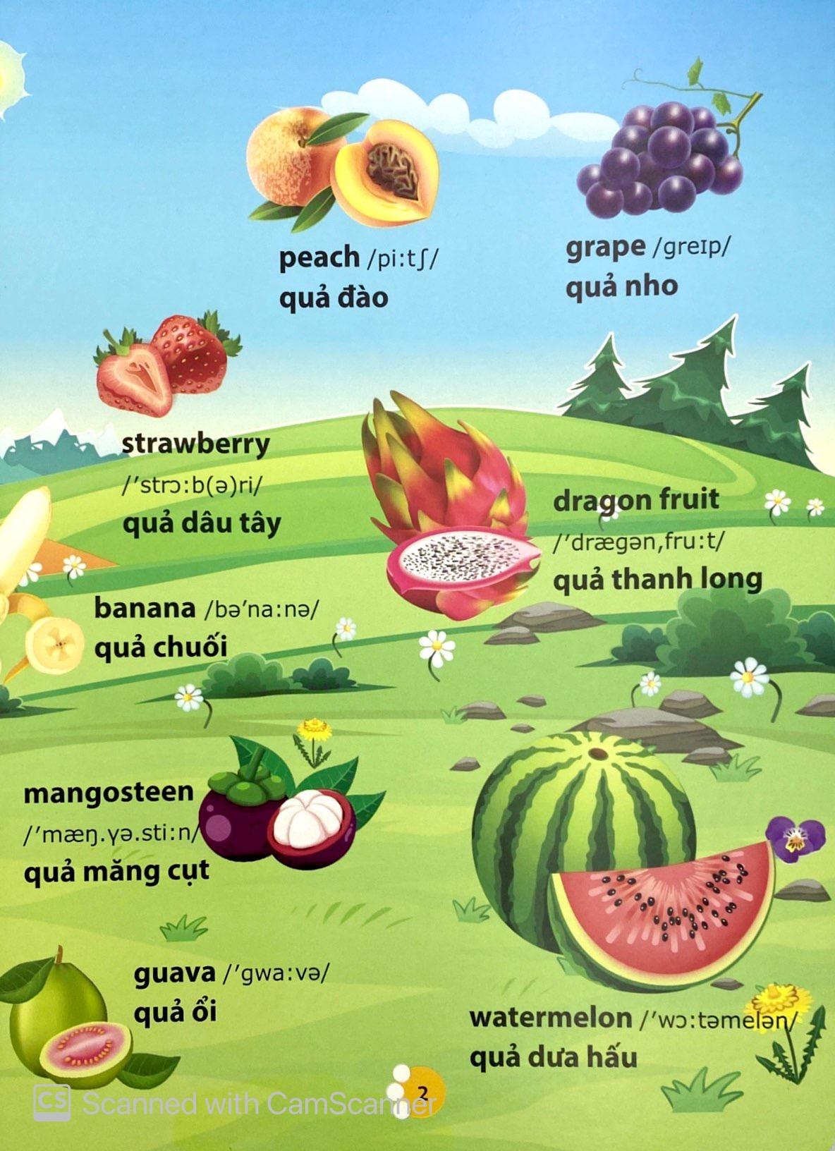 Từ Điển Phát Triển Ngôn Ngữ Bằng Hình Dành Cho Trẻ Mầm Non - Chủ Đề: Phương Tiện Giao Thông + Thành Viên Trong Gia Đình + Trái Cây + Rau Củ