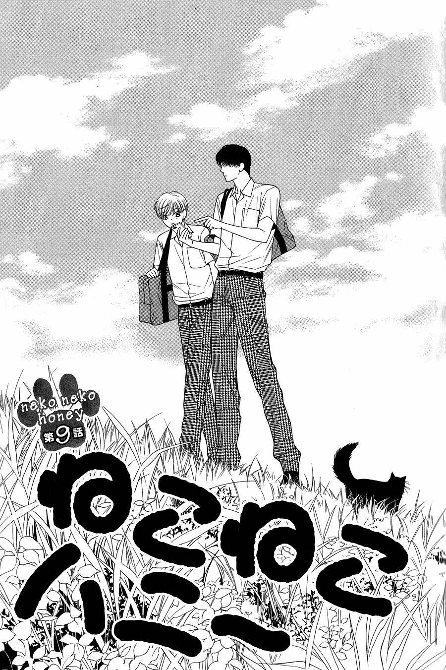 neko neko honey chapter 9 2