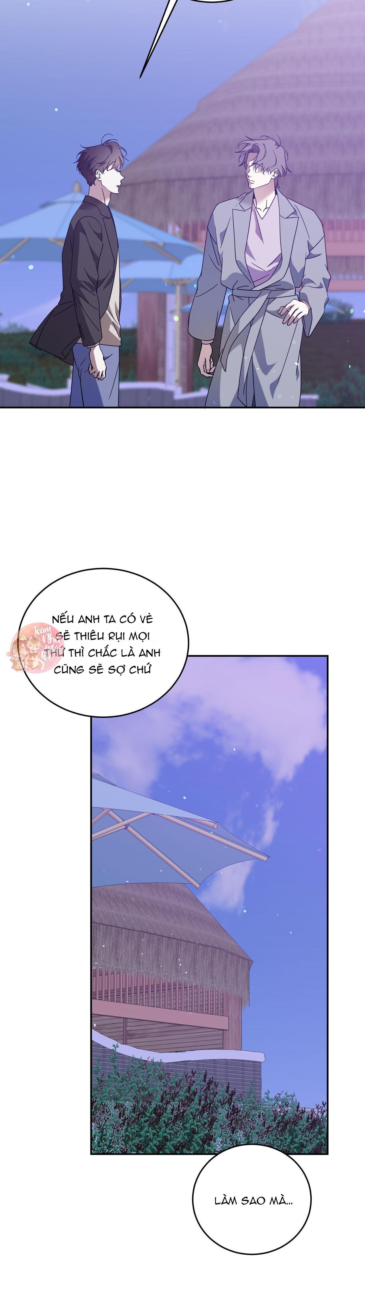 cấp trên chapter 48 14