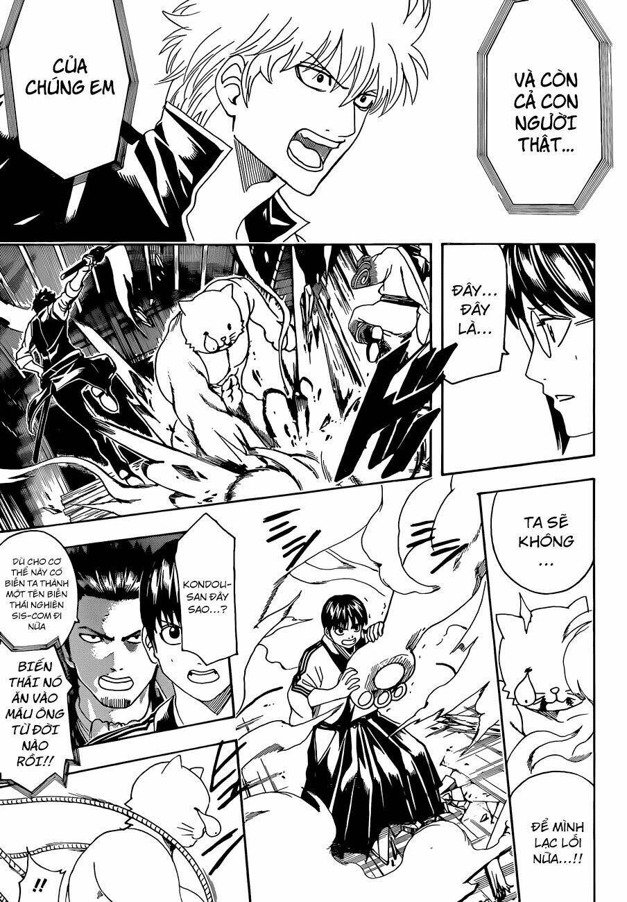 gintama - linh hồn bạc chapter 476 4