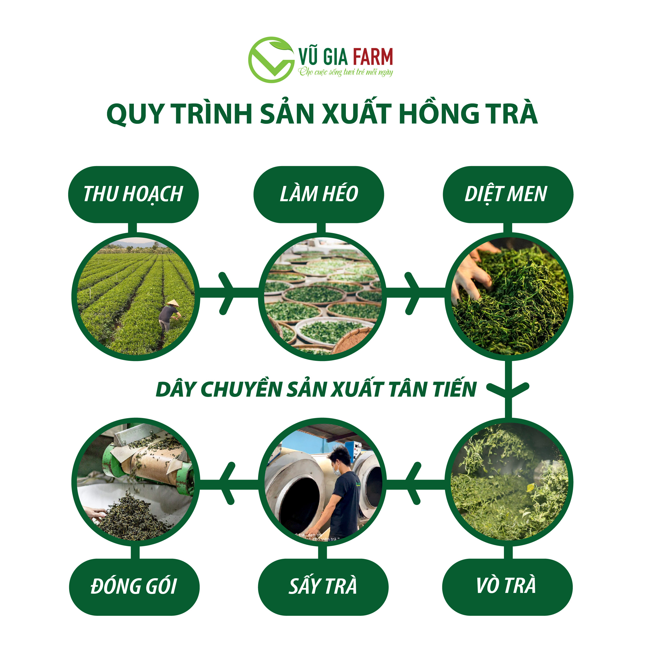 Hồng Trà ( Trà Đen) Cao Cấp Nguyên Chất Vũ Gia (200g/ hũ)