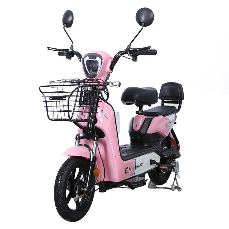 Xe Đạp Điện Phiên Bản Mới Nhất Hàng Tiêu Chuẩn Quốc Gia