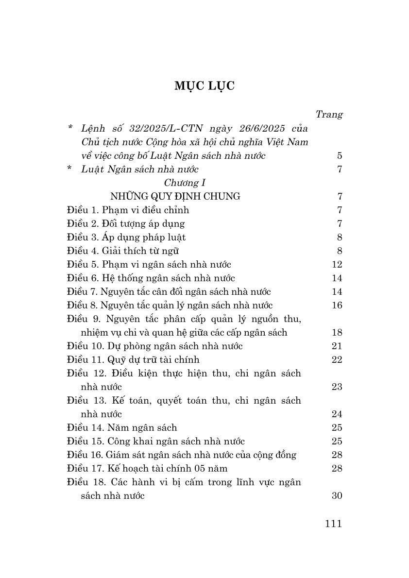 Luật Ngân sách Nhà nước năm 2025