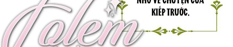 tôi sẽ cố gắng bảo vệ em gái chapter 26 208