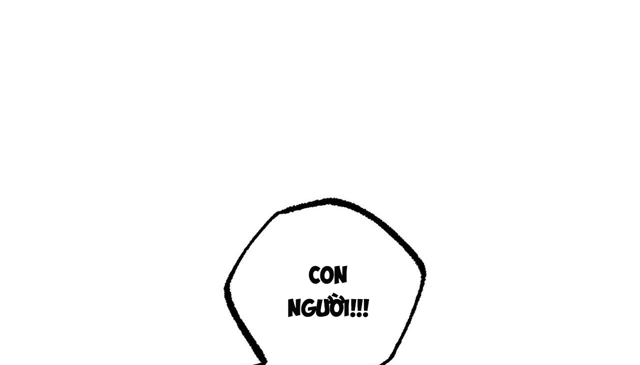 đàn thỏ của habibi chapter 50 111