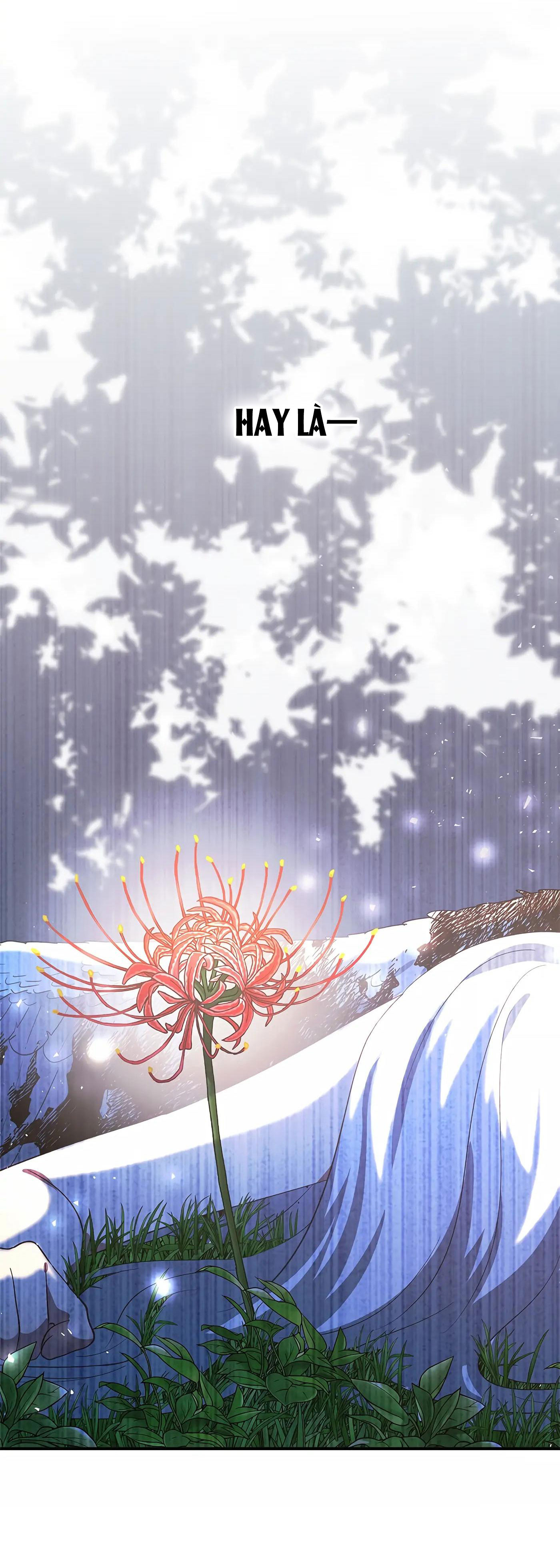 tôi không phải là nữ anh hùng chapter 59 42