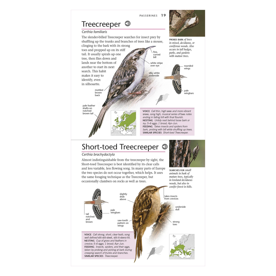 RSPB Pocket Birds Of Britain And Europe