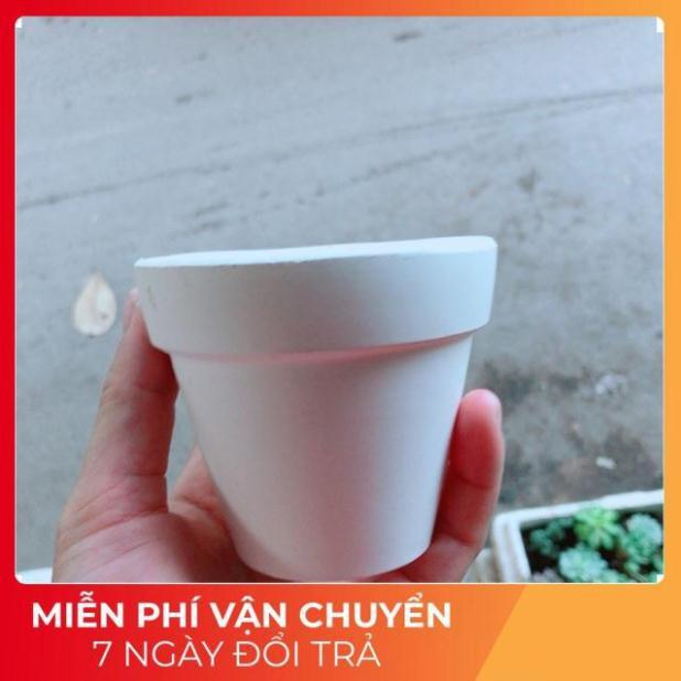 Chậu Trồng Cây