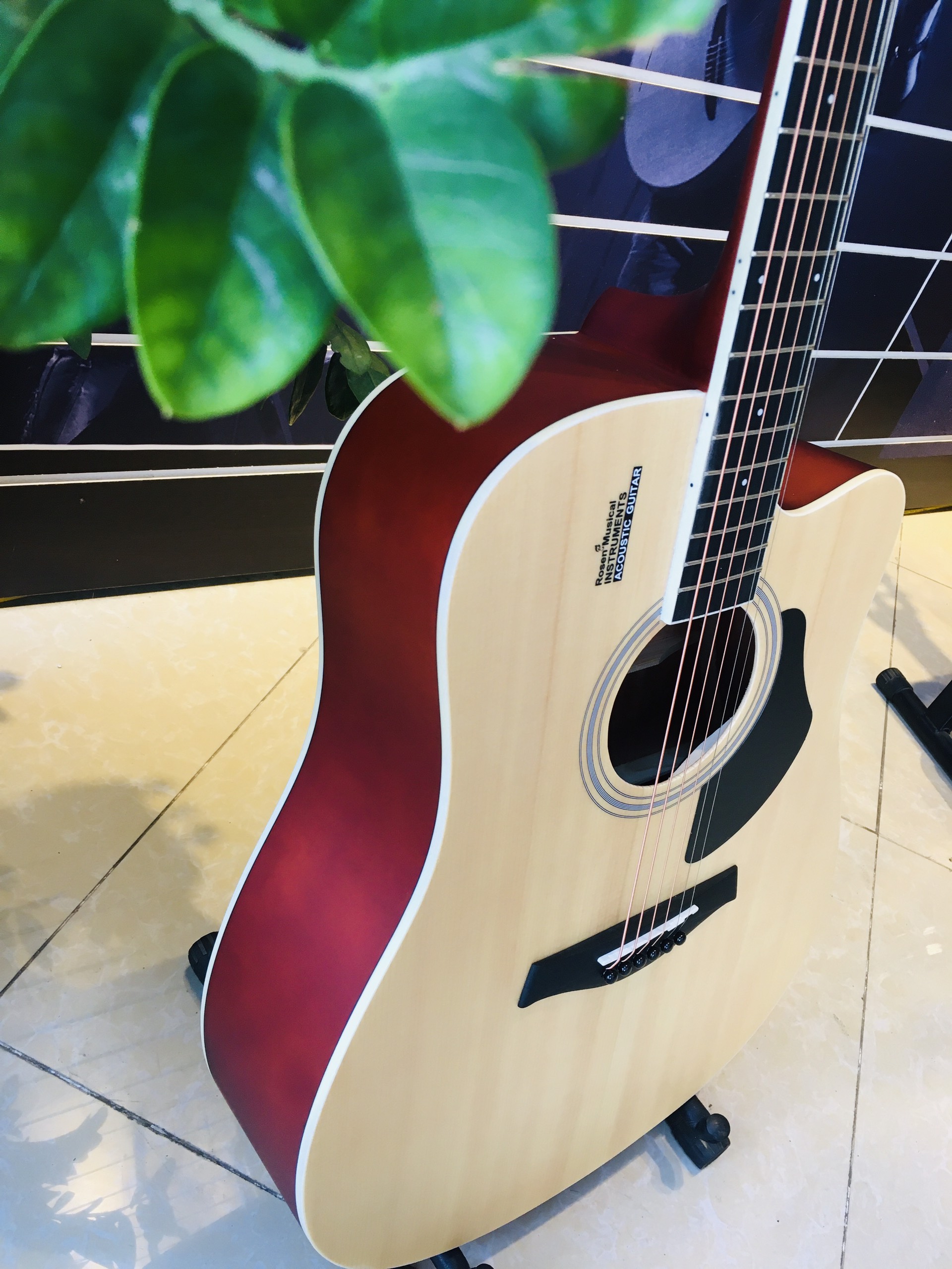 Đàn Guitar Acoustic Rosen R135 màu Vàng