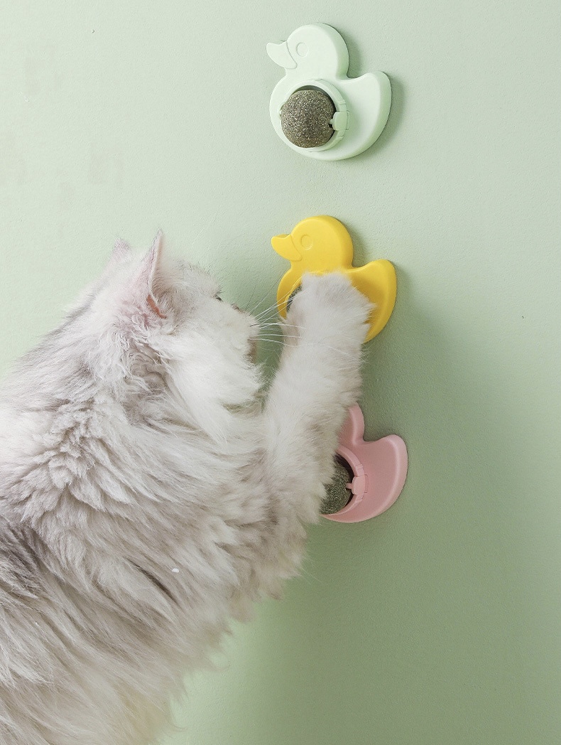 Cỏ mèo dán tường bạc hà Catnip đồ chơi cho mèo giúp mèo giảm stress tiêu búi lông