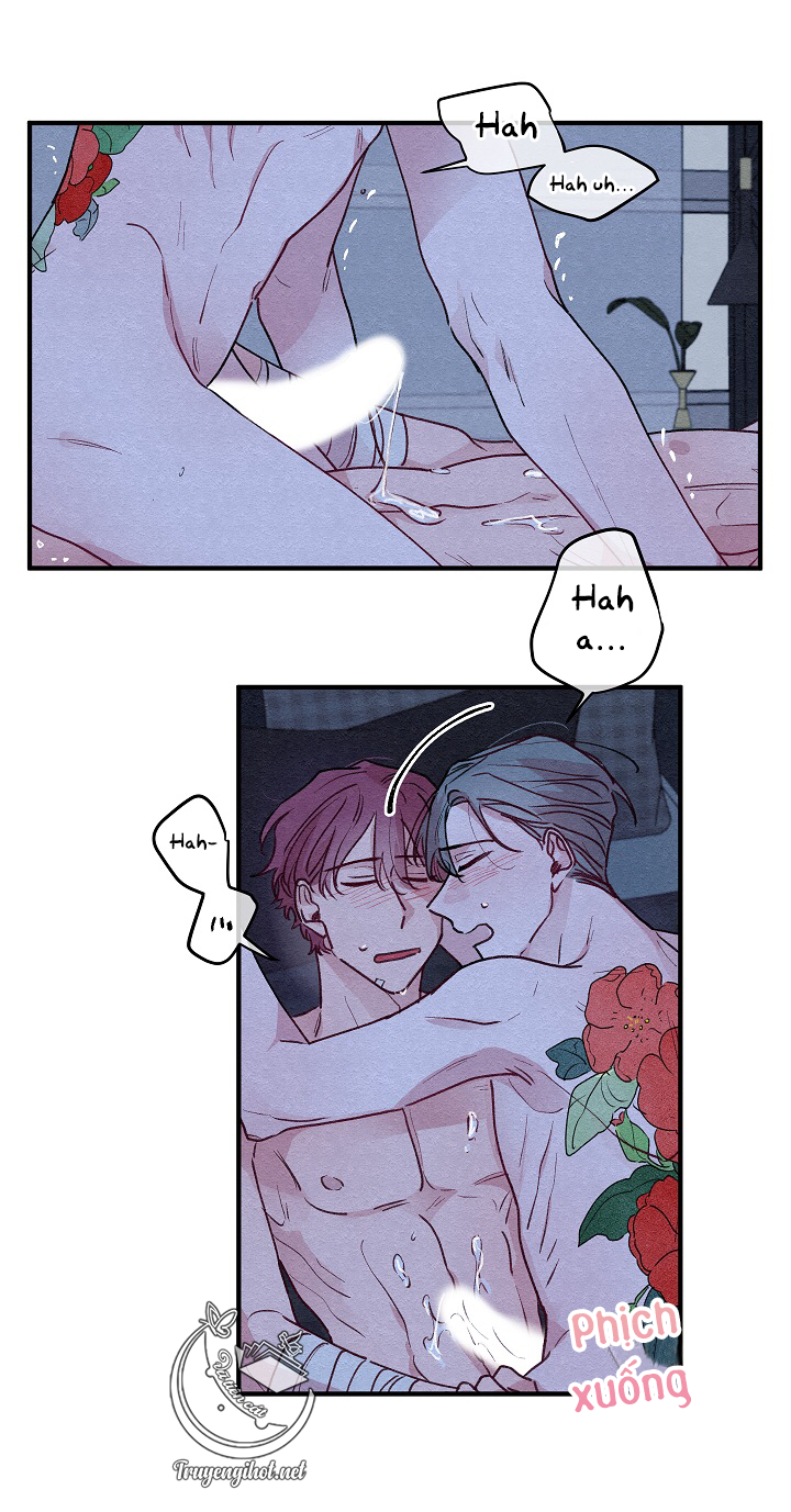 [bl19+] hoa không nở chapter 6 22