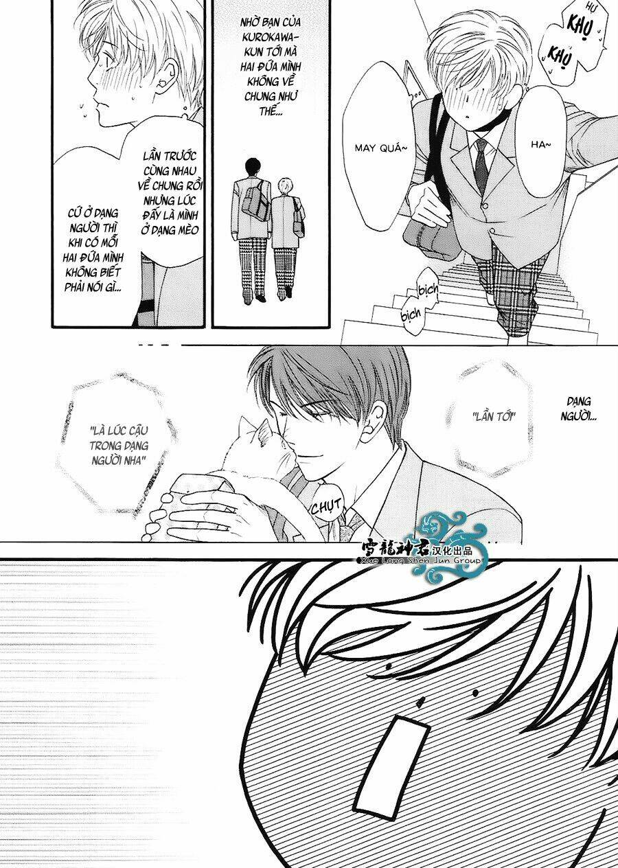 neko neko honey chapter 7 15