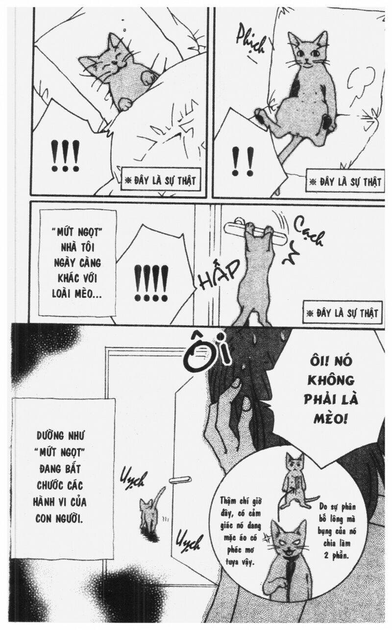 diamond head chapter 2 185