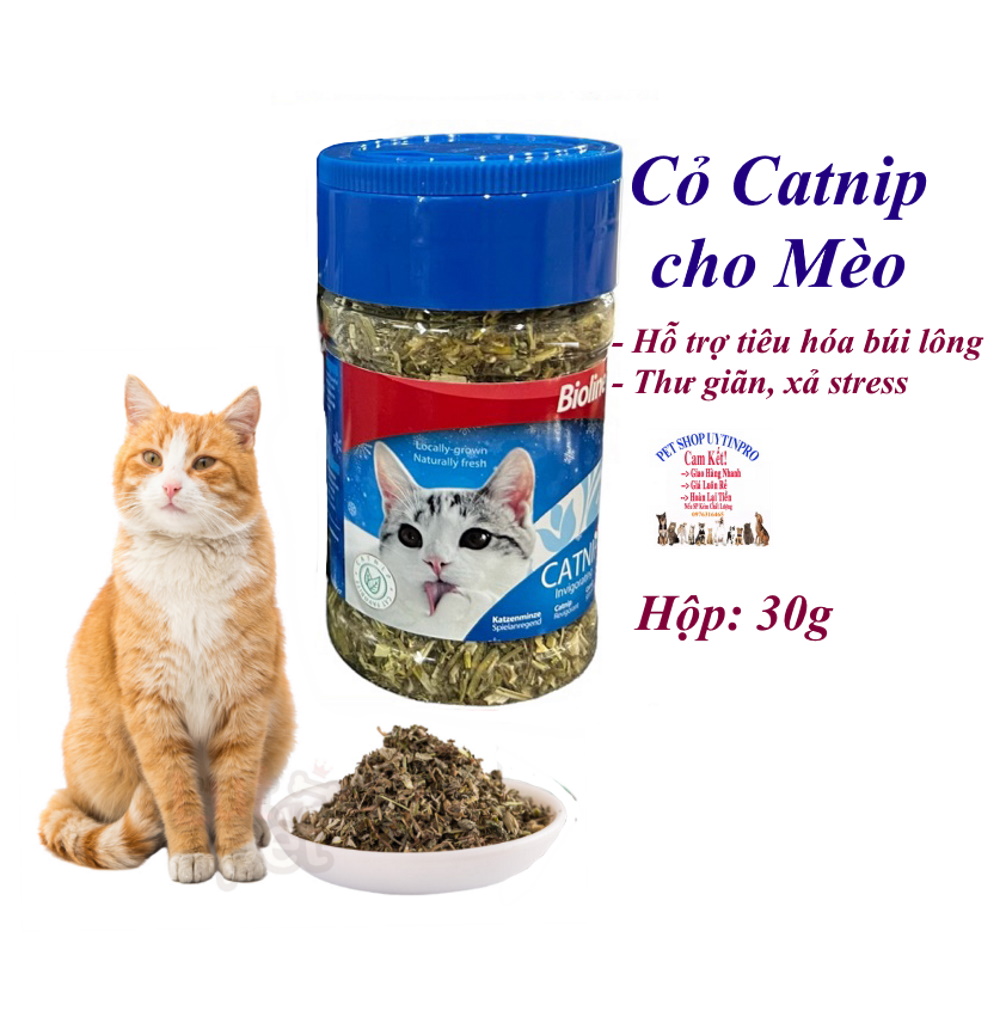 Cỏ catnip cho Mèo Bioline Catnip Hũ 30g Giúp Mèo Giải trí Thư giãn Xả stress Hỗ trợ tiêu hóa búi lông -Pet shop Uytinpro