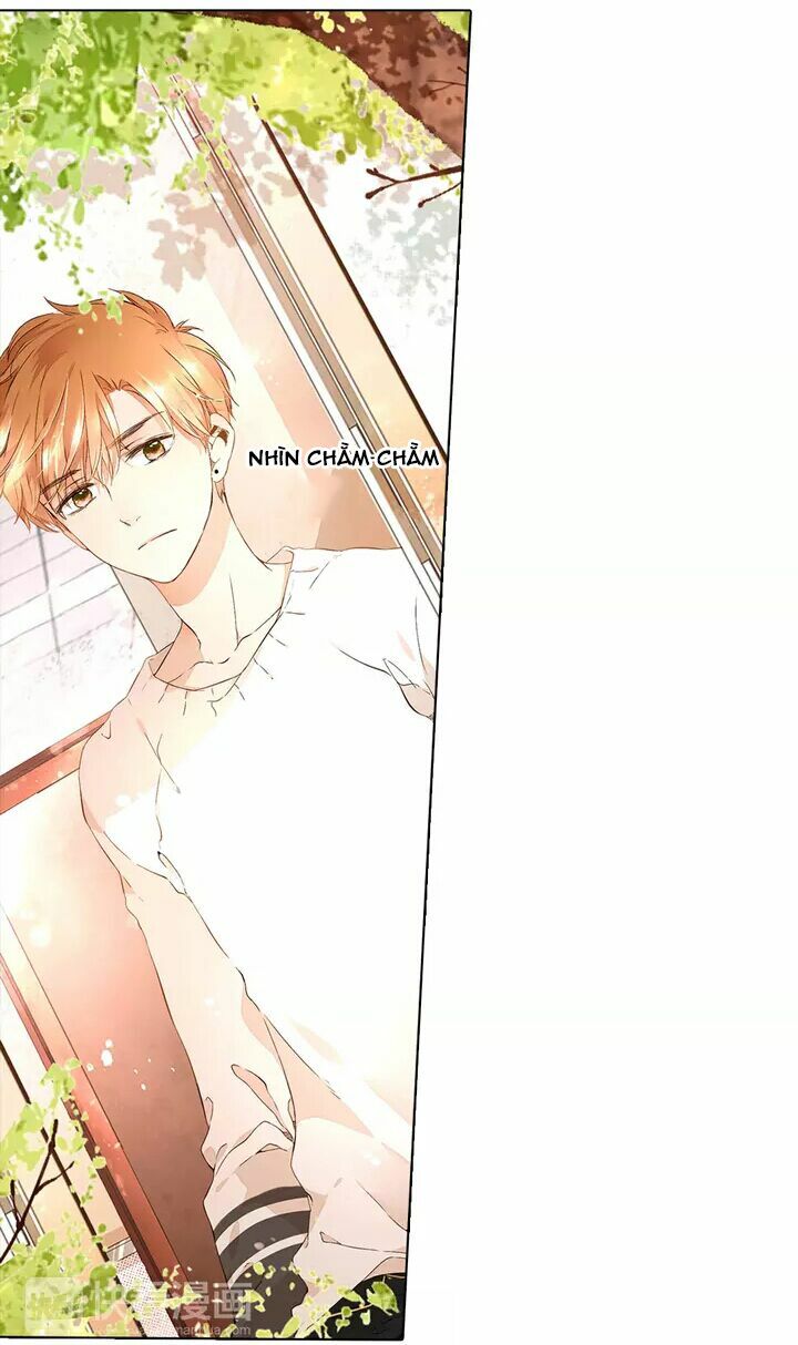 Tình yêu là màu hoa anh thảo chapter 16.2 7