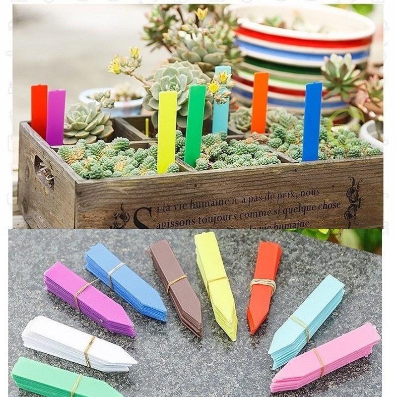 THẺ GHI TÊN CÂY TRỒNG,ĐỒ VẬT SET 100 CÁI