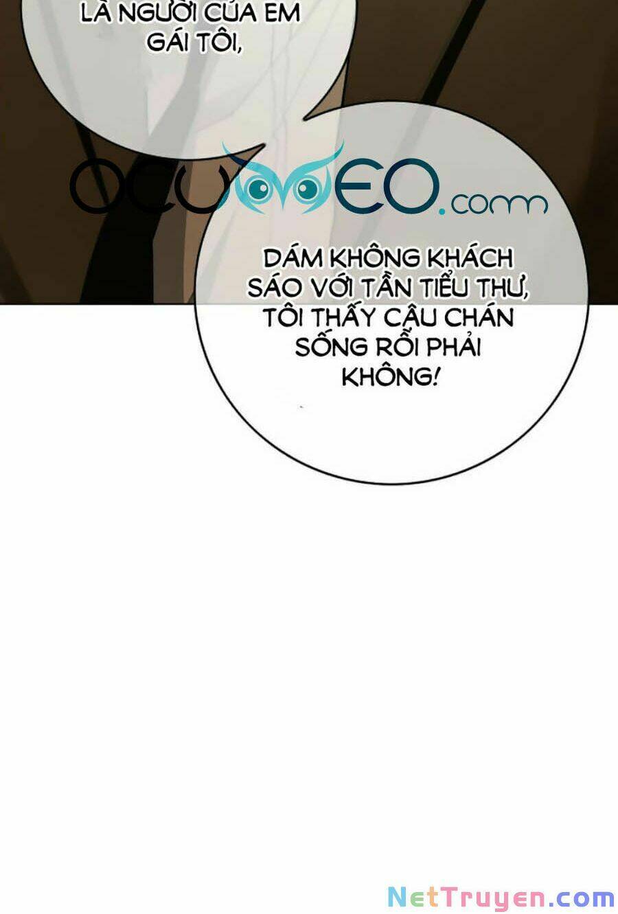 cô vợ gả thay của tổng tài cố chấp chapter 41 41