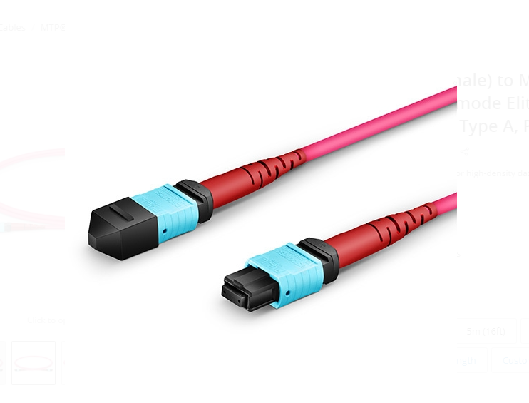 Dây nhảy quang MTP to MTP Female, OM4 Type A, 24 Fibers Elite Trunk Cable sample - Xmethod Network - Hàng chính hãng
