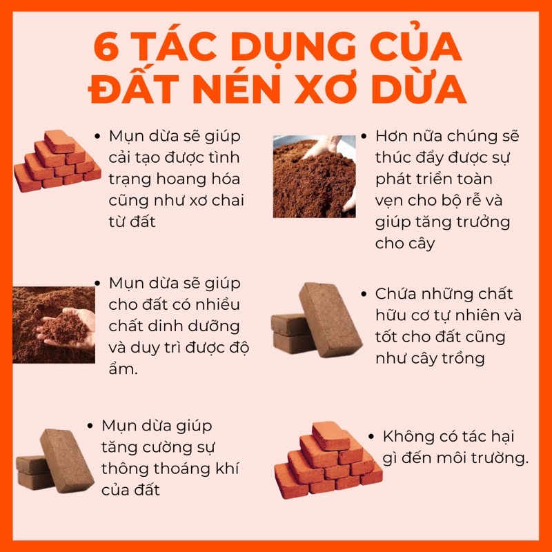 Đất nén hữu cơ dạng viên xơ dừa dinh dưỡng diệt trùng diệt khuẩn kháng bệnh tốt cho cây trồng - rau củ - cây cảnh