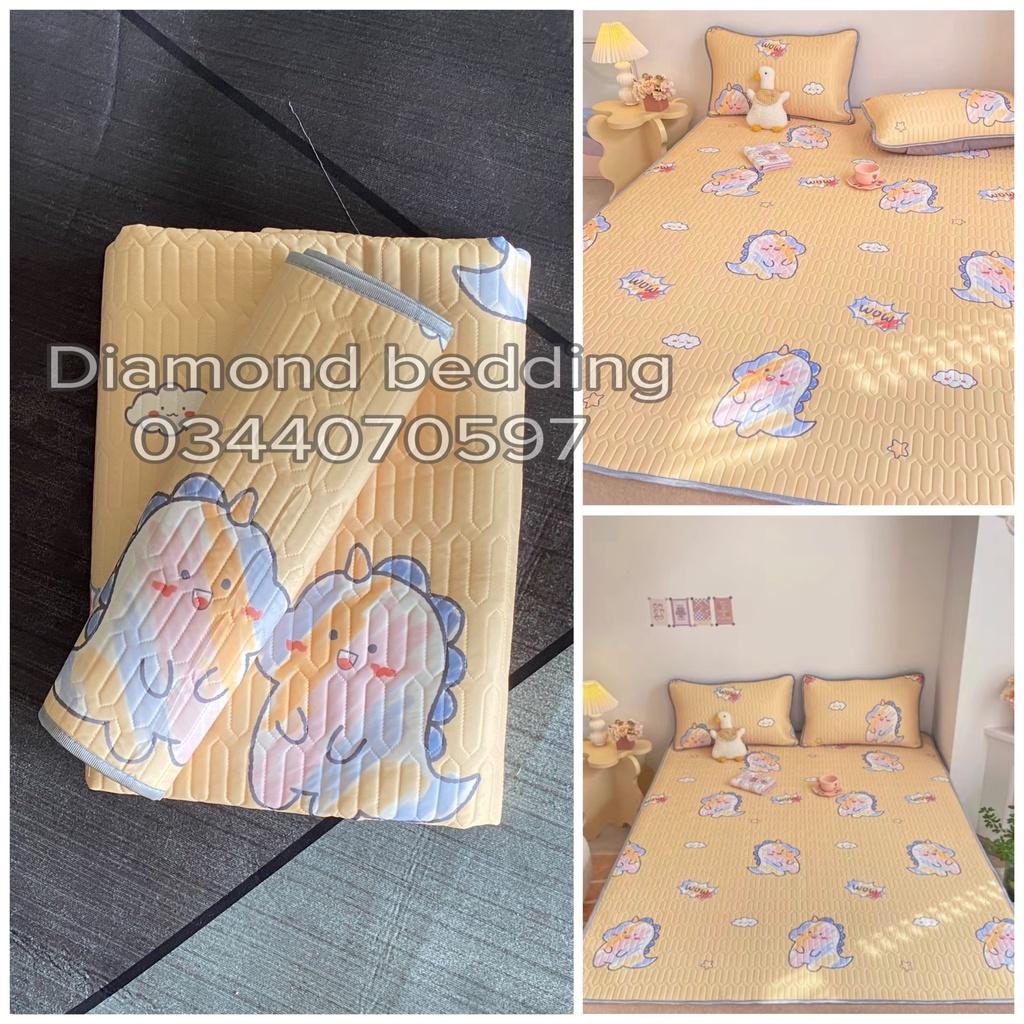 Chiếu điều hoà cao su non 2D Tencel Latex có in hoạ tiếtH&H BEDDING