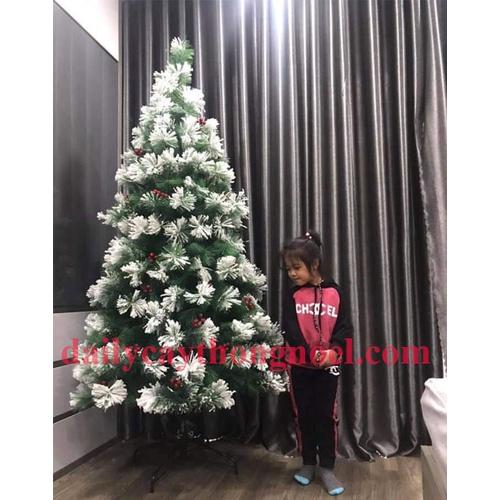 Cây thông noel phủ tuyết 1m5