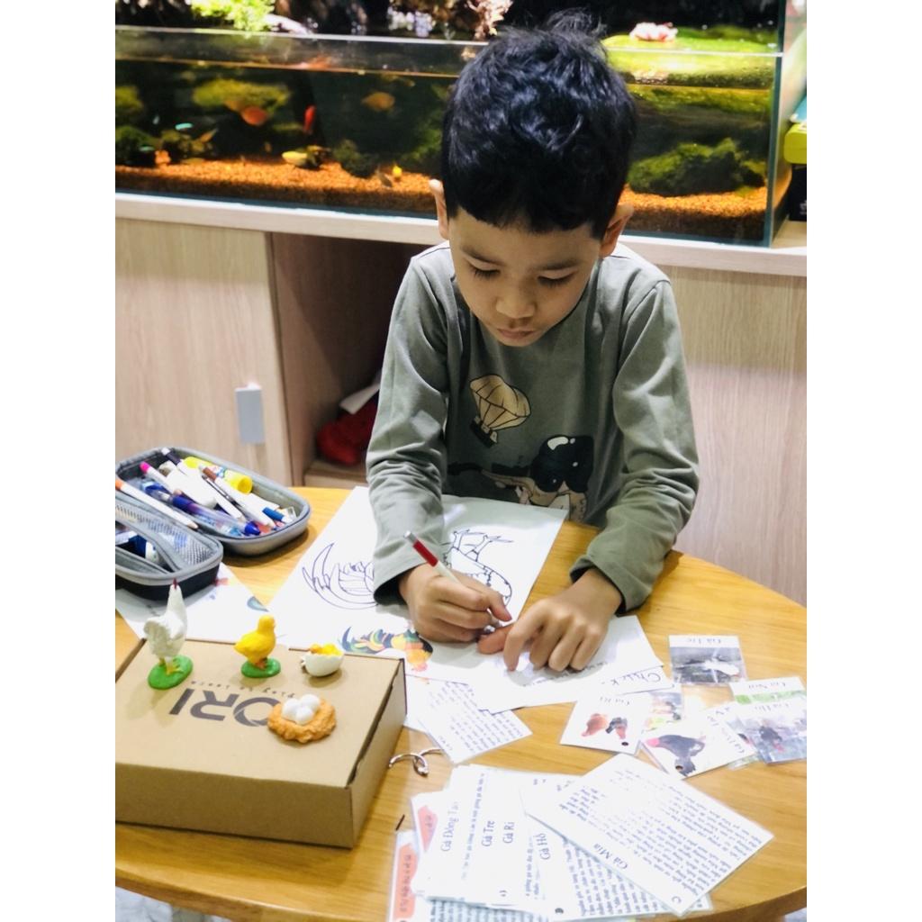- Mô hình vòng đời của Gà -Học liệu Montessori - Chicken life cycle