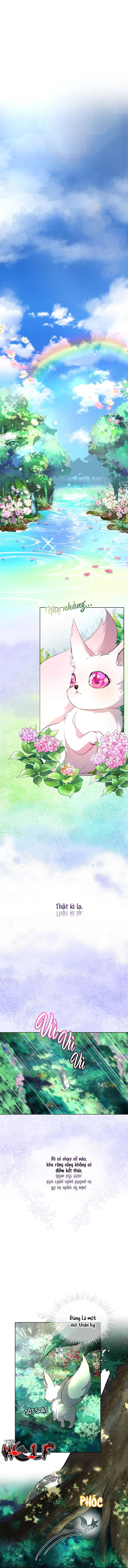 tái sinh thành bé thần thú nhỏ chapter 0 1