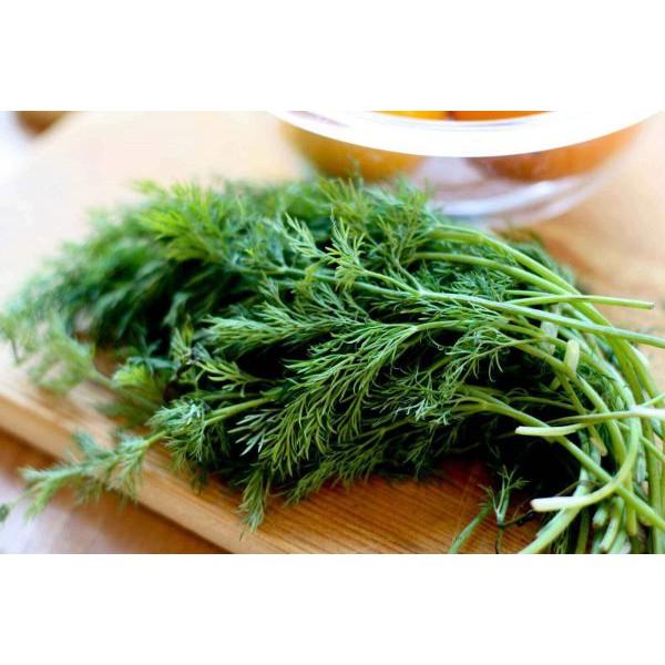 Hạt giống thì là bốn mùa 20gr