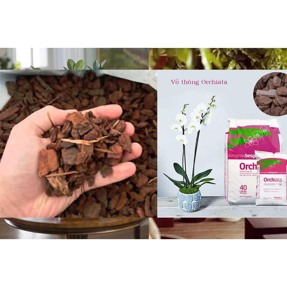 Vỏ Thông Trồng Lan 1Kg - Giá Thể Đã Qua Xử Lý