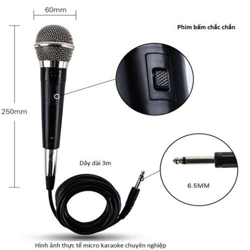 Micro karaoke gia đình hát cho nhau nghe cực hay không bị hú, không bị rè, xử lý âm thanh đỉnh cao hàng chất lượng.