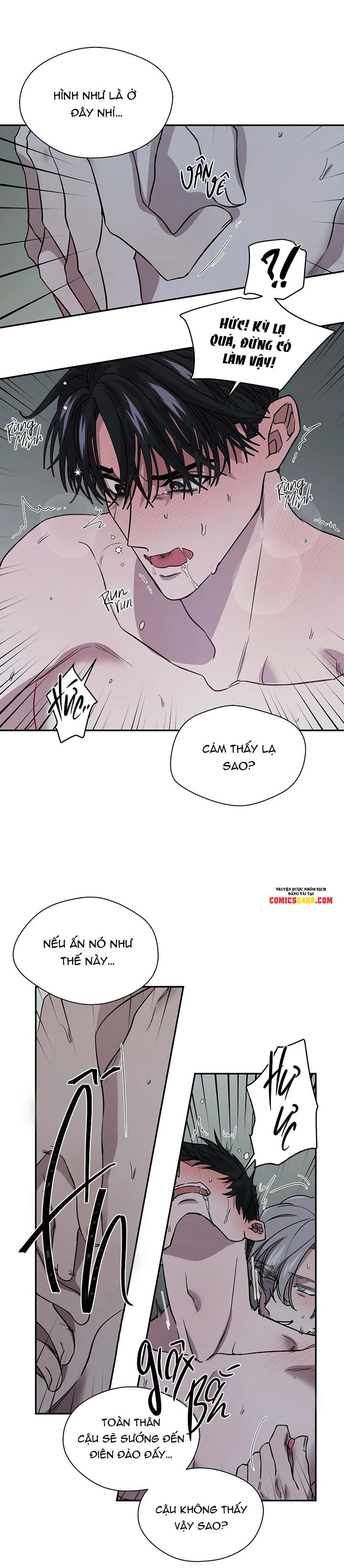 ám ảnh pheromone chapter 14 5