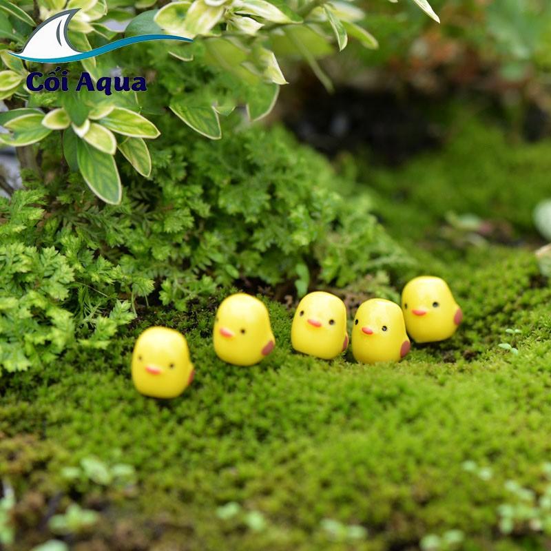Tiểu cảnh mini ️ Gà vàng nhỏ H070 chơi trong vườn trang trí sen đá, sân vườn, bể cá, tiểu cảnh
