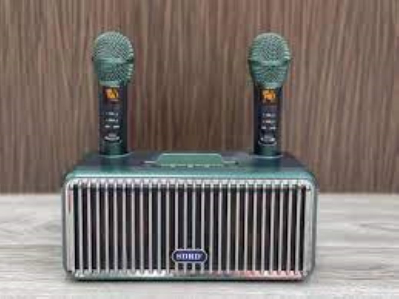 Loa Karaoke SDRD SD-319 (Kèm 02 Micro Không Dây)
