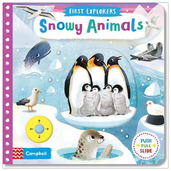 Snowy Animals