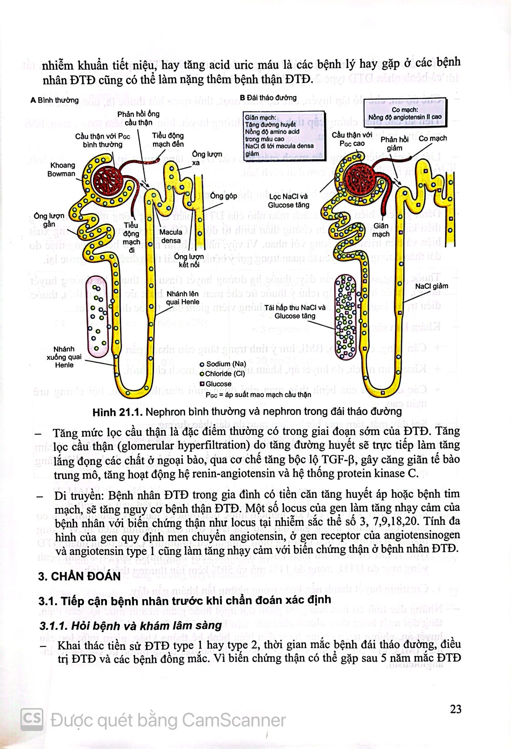 Benito - Sách - Bệnh học nội khoa thận - tiết niệu tập 2 - NXB Y học