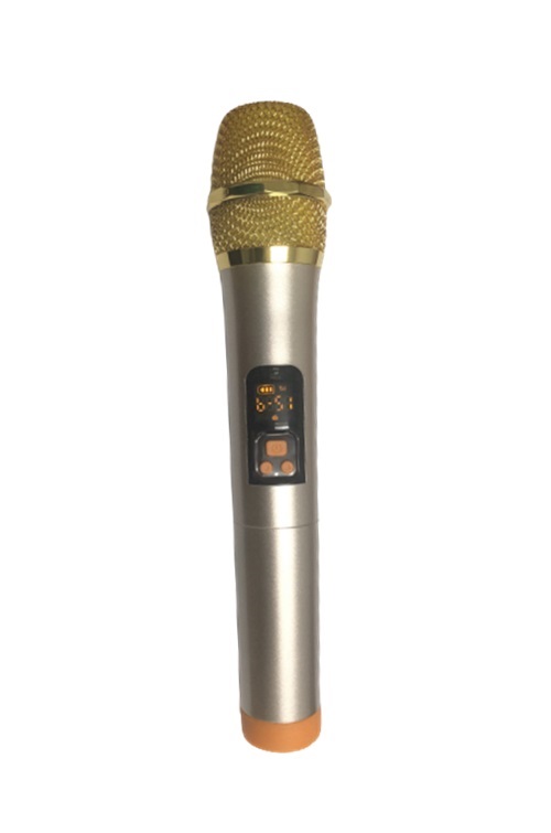 Loa kéo di động karaoke Rinton PL2-II 400W (có bình) - Hàng chính hãng