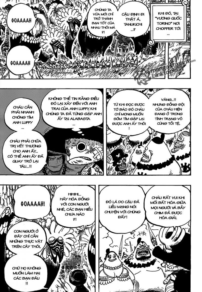 đảo hải tặc - one piece chapter 591 17