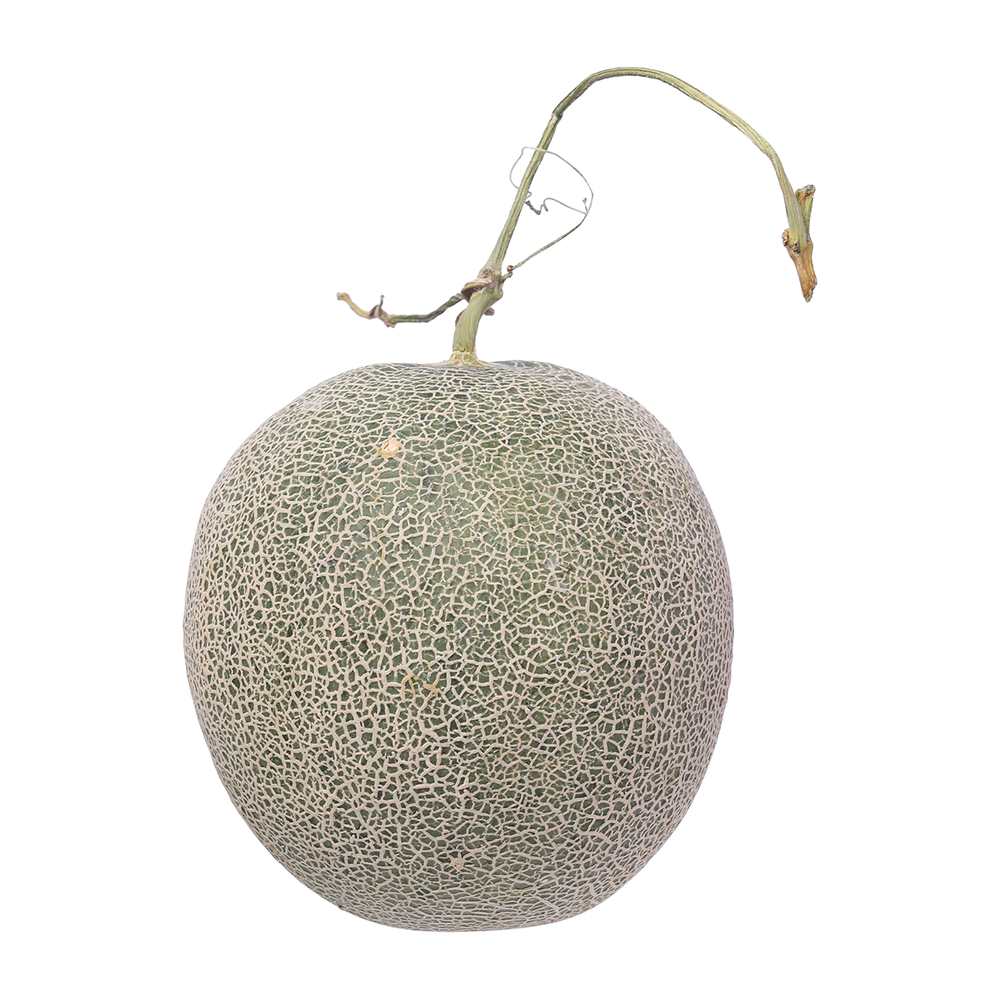 Dưa Lưới Tròn 1.4-1.7KG