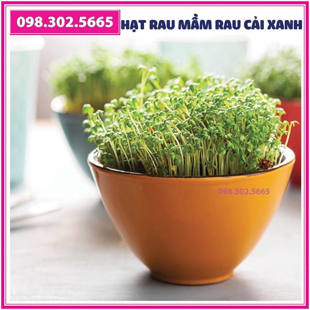 Hạt rau mầm rau cải xanh - gói 50g - Trồng rau mầm sạch, rau mầm hữu cơ an toàn tại nhà