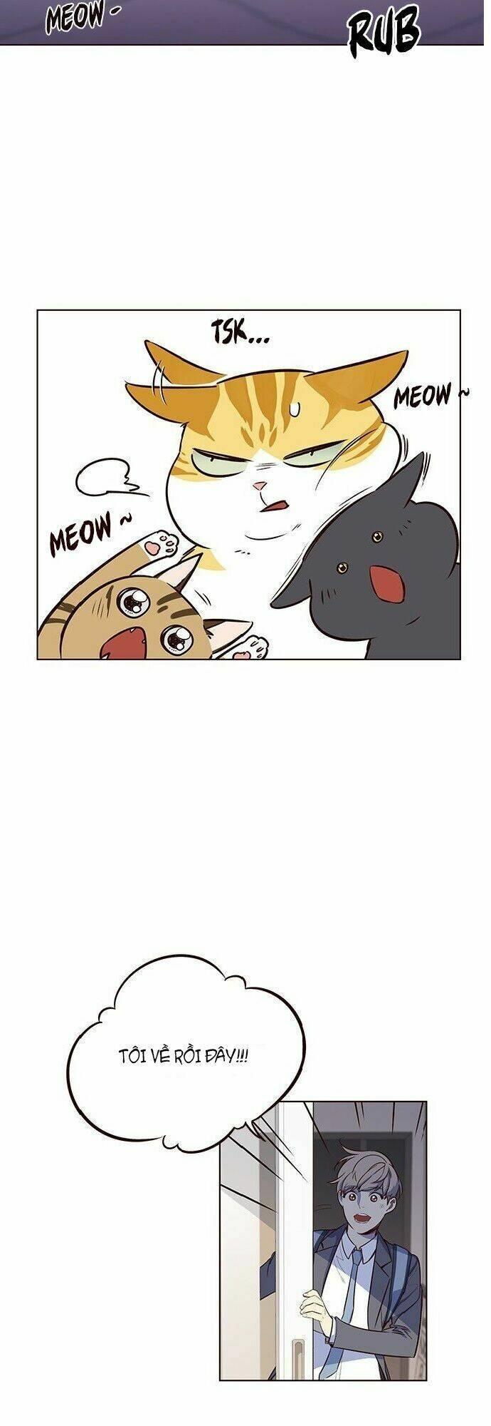 biến thân thành mèo chapter 7 47