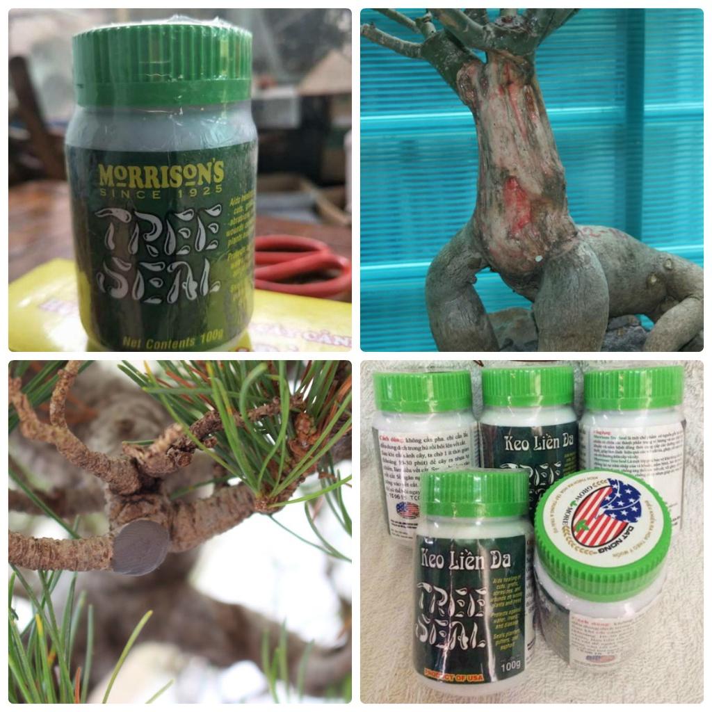 Keo Liền Da TREE SEAL 100g, Sản phẩm nhập Mỹ